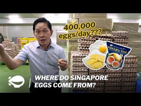 THE EGG SINGAPORE PTE. LIMITED (201618568K) .